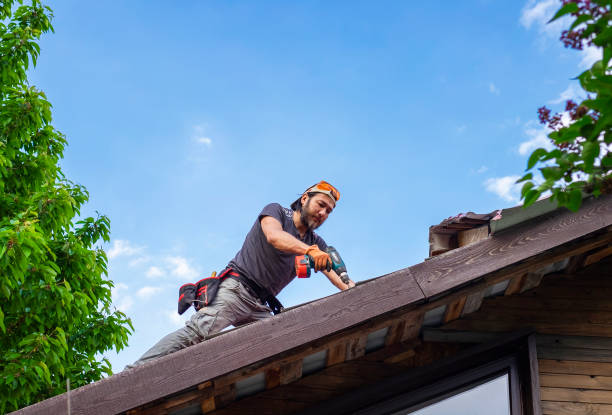 Best Slate Roofing  in Rogersville, AL